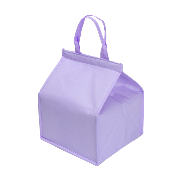 Custom Logo Velcro Sealed Thermal Bag