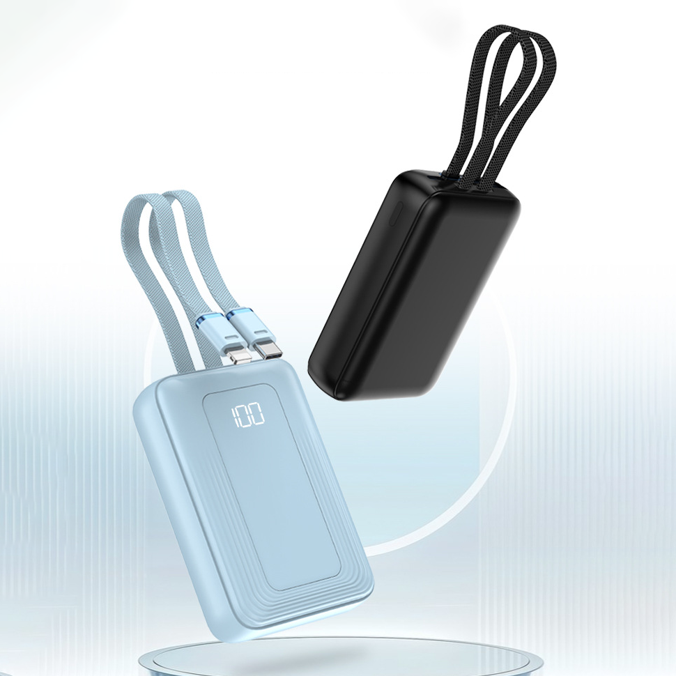 Custom Logo Dual-wire portable power bank | Premium Corporate Gifts and Custom Gifts