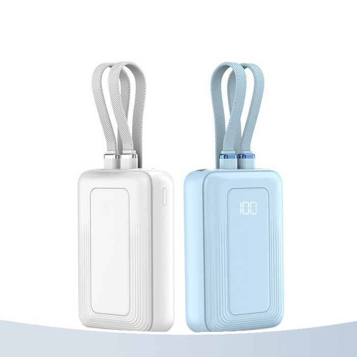 Custom Logo Dual-Wire Portable Power Bank